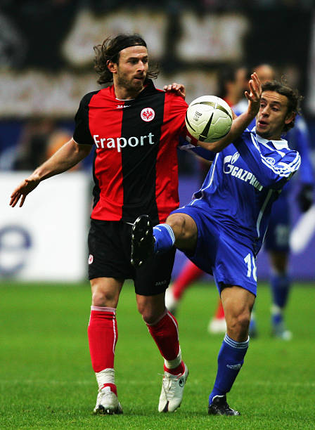 习与借鉴的 习与借鉴的